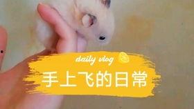 娱乐圈吃瓜背景板是谁,揭秘“吃瓜背景板”背后的故事